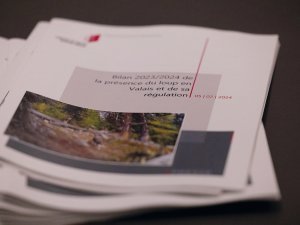 53510798859_81e796d288_o