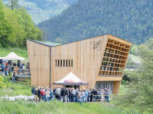 53729507169_b931085768_o