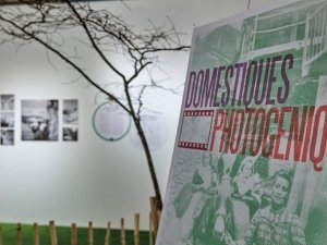 Martigny, le 20 mai 2025, « Domestiques photogéniques » La domestication animale explorée par la Médiathèque Valais - Martigny Le Médiathèque Valais - Martigny présente « Domestiques photogéniques », du 23 mai 2025 au 28 mars 2026. Composant l’album photographique de l’agriculture et de la vie quotidienne dans les Alpes, l’exposition explore la domestication animale. Elle valorise plus de 600 images d’archives, autant de témoignages d’une économie agro-pastorale de subsistance aujourd’hui disparue. En parallèle, l’exposition évoque les tâches d’une économie invisible – l’économie domestique humaine – et remémore les travaux et les jours au Vieux-Pays. Présentée par Sylvie Délèze Directrice de la Médiathèque Valais - Martigny et commissaire de l’exposition Sylvie Fournier Collaboratrice scientifique à la Médiathèque Valais -Martigny et responsable de la médiation Nicole Reynaud Savioz Archéozoologue© sedrik nemeth