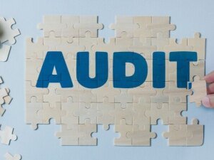 Audit