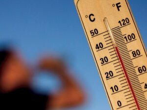 Canicule