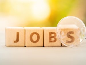 Wood block word JOB and magnifying glass with copy space using as background Choice of the best suited employee, HR, HRM, HRD, job recruiter concepts.