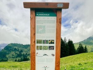 sites