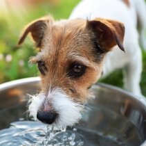 AdobeStock_806870340
