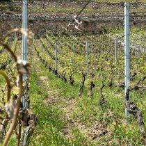 agriculture_Photo © SCA_DLW