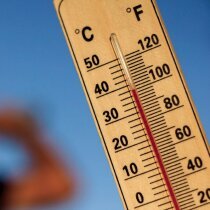Canicule