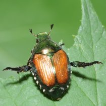 coc C. Schweizer Agroscope