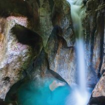 Fête de la nature_vignette