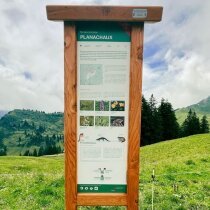 sites